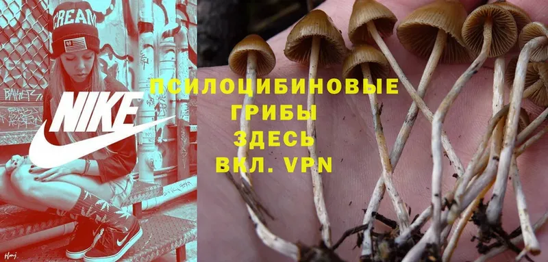 KRAKEN маркетплейс  Ирбит  Галлюциногенные грибы Magic Shrooms 